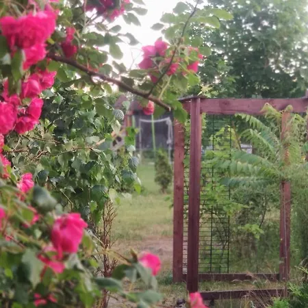 Ow Sargus Władysławowo