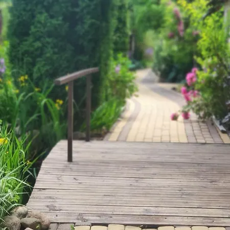 Ow Sargus Władysławowo