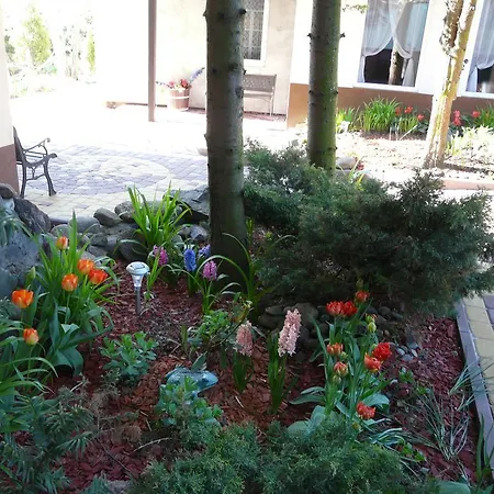 Ow Sargus Władysławowo