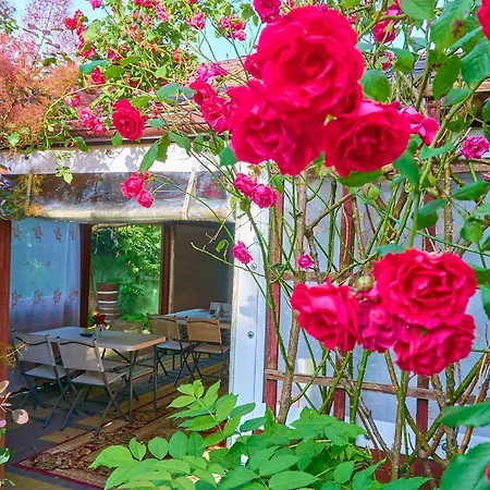 Bed & Breakfast Ow Sargus 3*