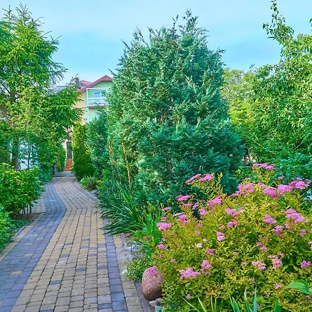 Ow Sargus Władysławowo