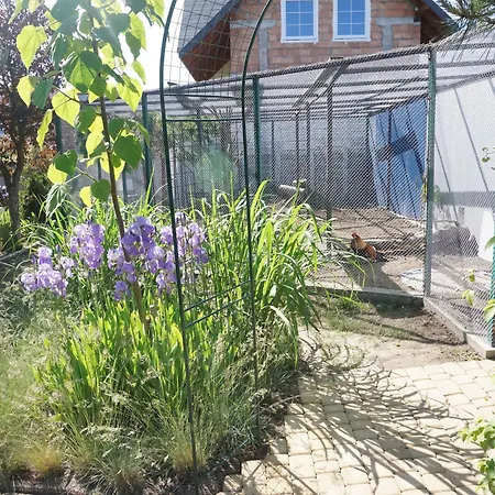 Bed & Breakfast Ow Sargus
