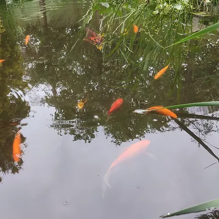 ベッド・アンド・ブレックファスト Ow Sargus Władysławowo