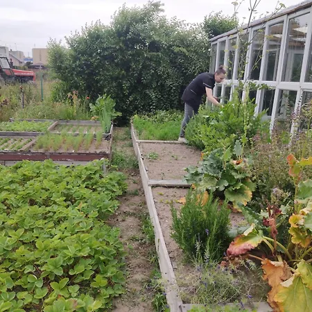 Panzió Ow Sargus Władysławowo