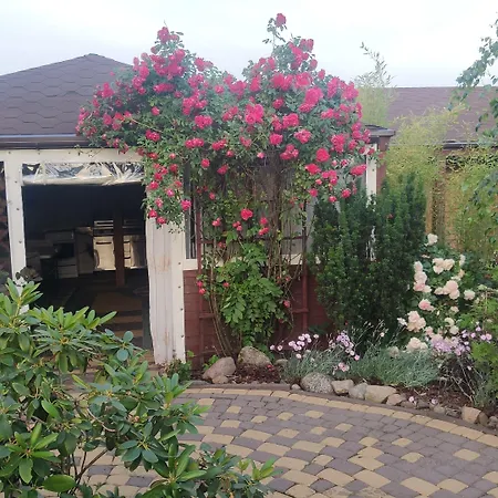 Ow Sargus
