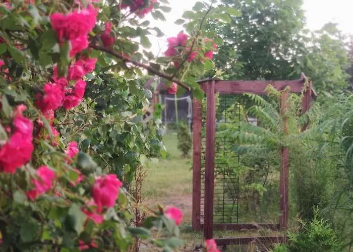 Ow Sargus Владыславово