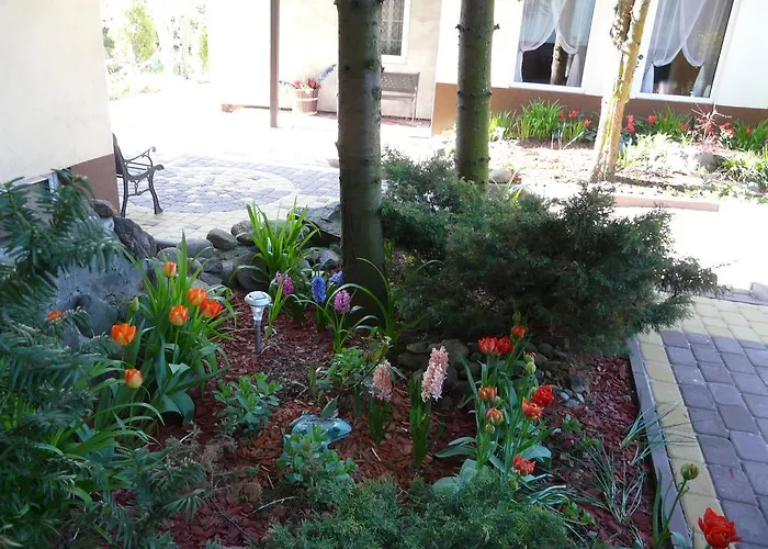 Ow Sargus Władysławowo