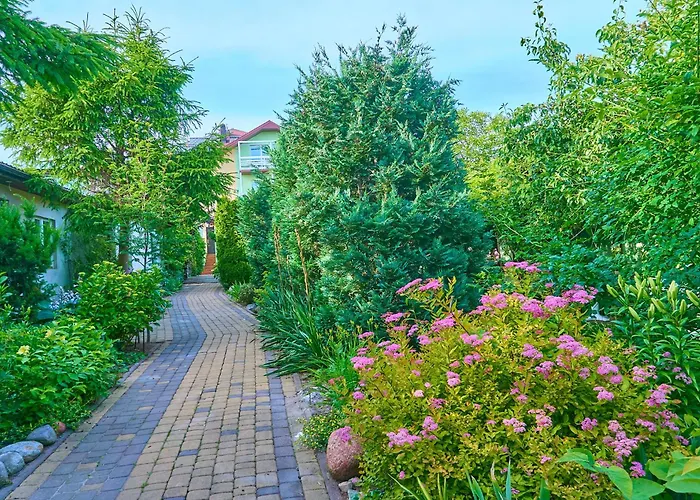 Ow Sargus Władysławowo