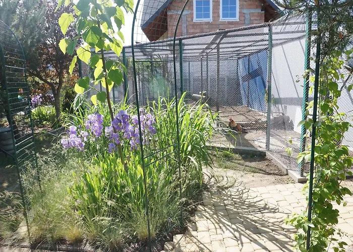 Bed & Breakfast Ow Sargus