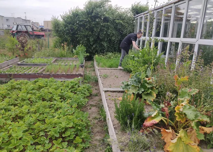 Bed & Breakfast Ow Sargus Władysławowo