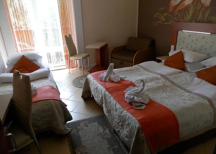 Ow Sargus 4* Владыславово