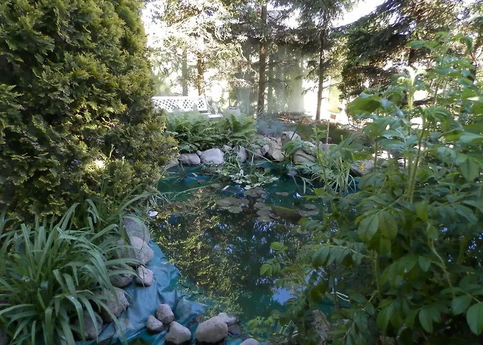 Ow Sargus Владыславово